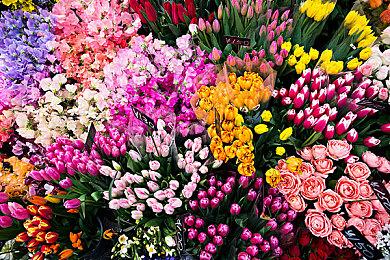 多人横版平台游戏《因果动物园》11＆14发行